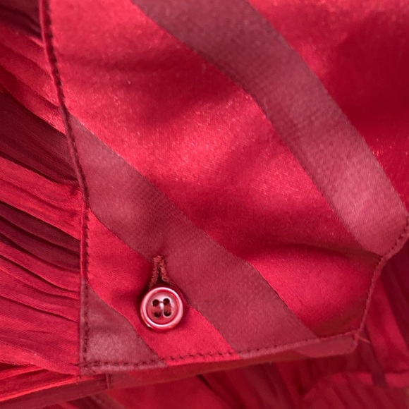 Crimson Blouse - Picture 3 of 5